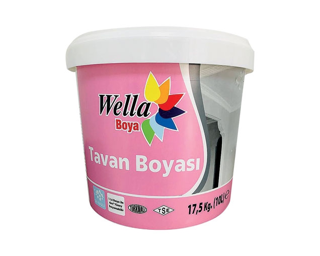 Tavan Boyası